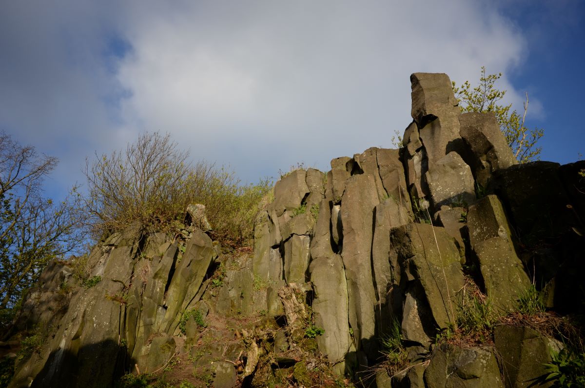 DSC_0355n.JPG