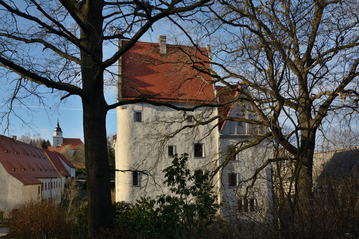 DSC_0375_00001n.jpg