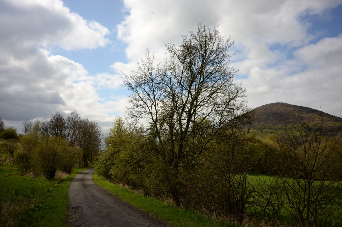 DSC_0385n.JPG