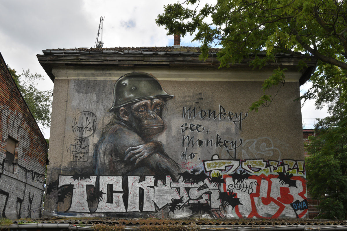 DSC_0398.JPG