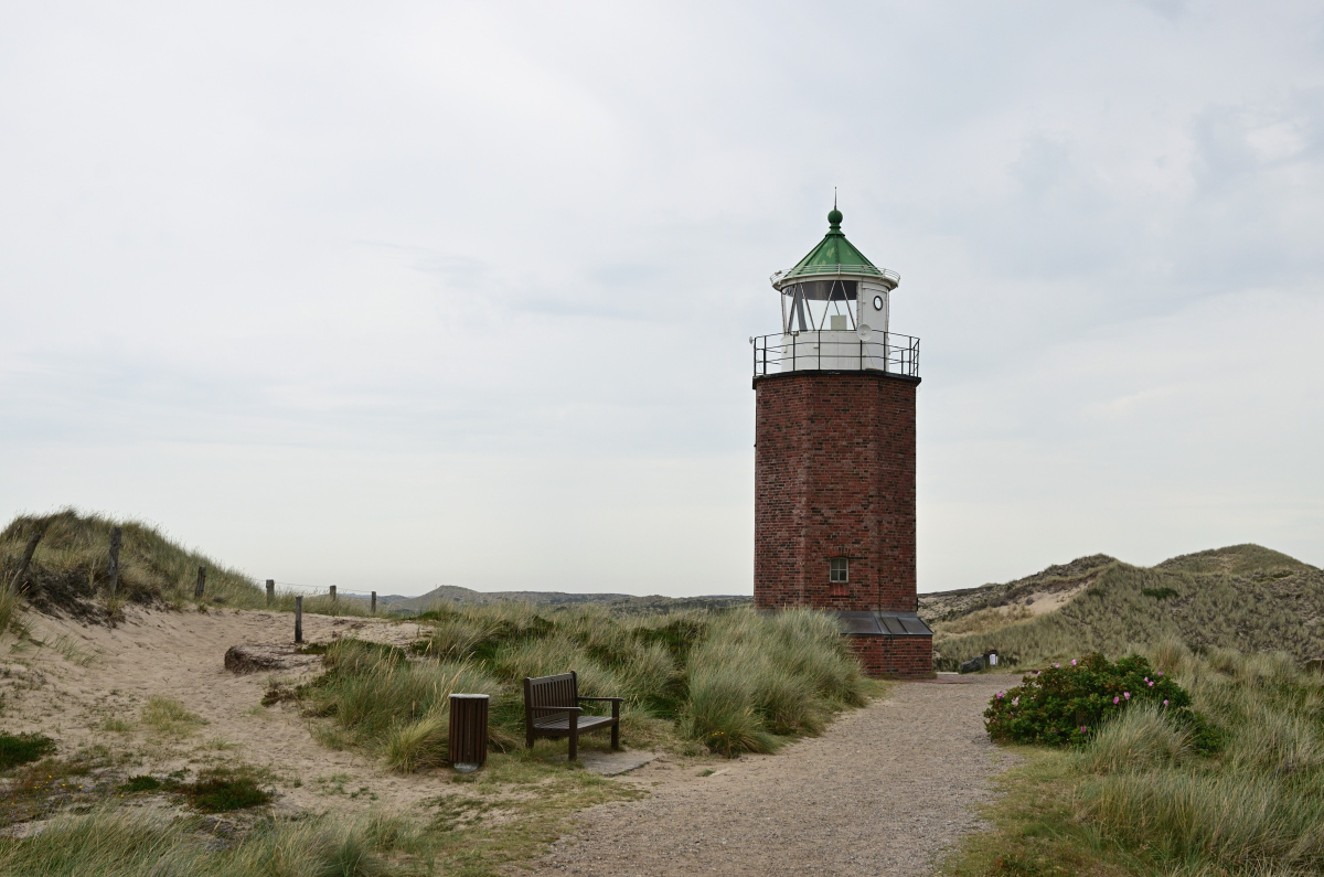 DSC_0403.JPG