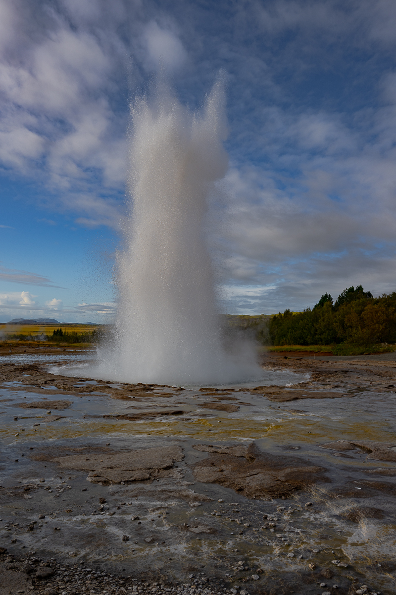 DSC_0404.jpg