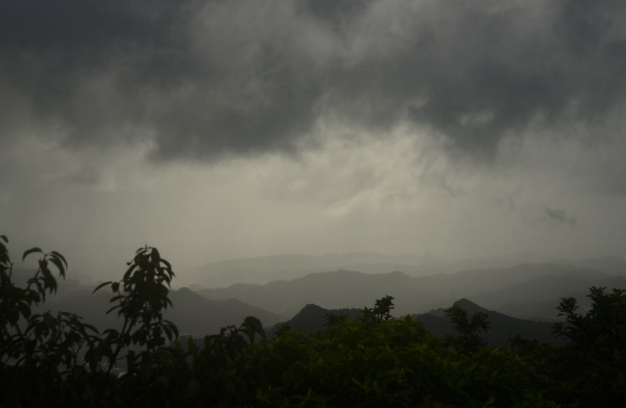 DSC_0409_beab_01.JPG