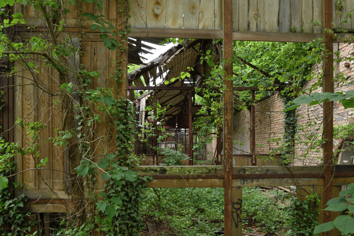 DSC_0411.JPG