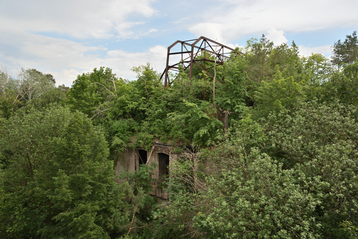 DSC_0416.JPG
