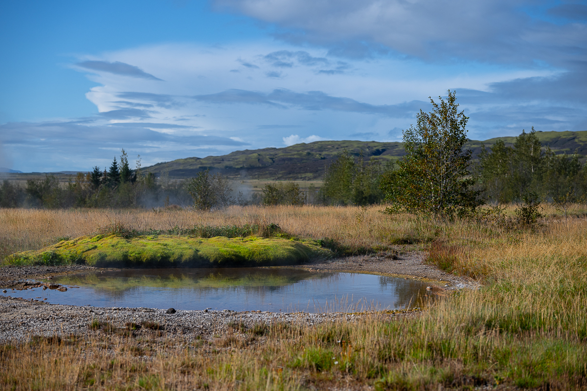 DSC_0421.jpg
