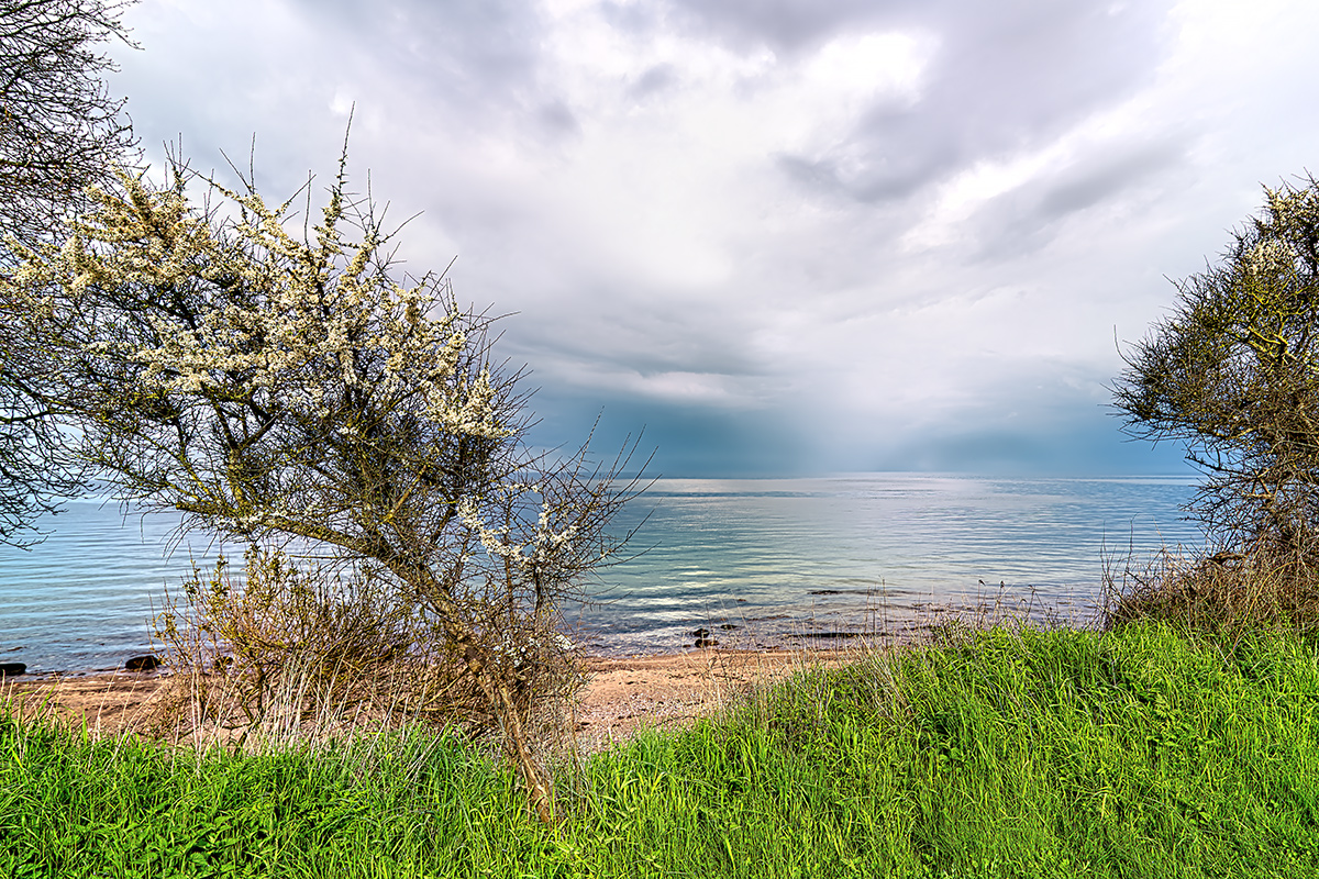 DSC_0430-2.jpg