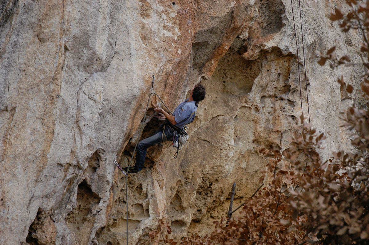 DSC_0442.jpg