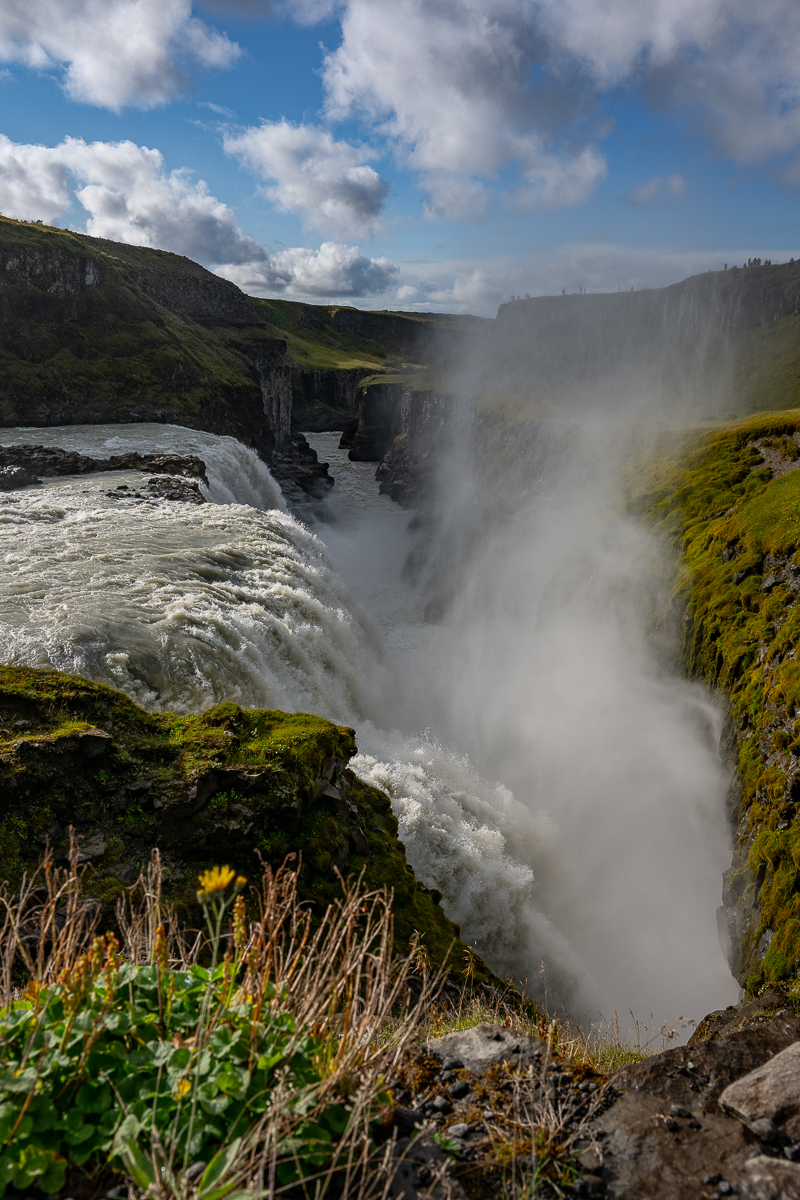 DSC_0447.jpg