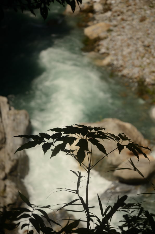 DSC_0462_01.JPG