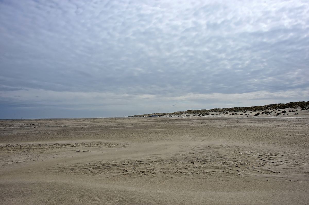 DSC_0472.jpg