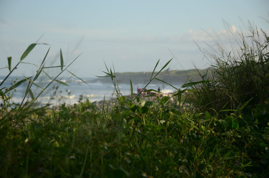 DSC_0538.JPG