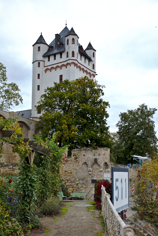 DSC_0544.jpg