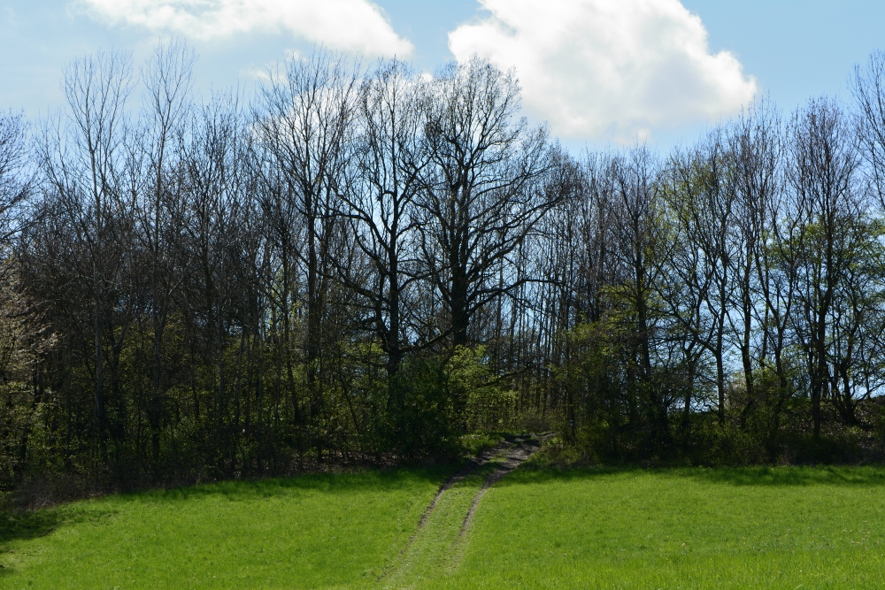DSC_0570_00001n1.jpg