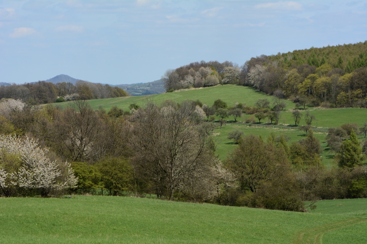 DSC_0571_00001n.jpg