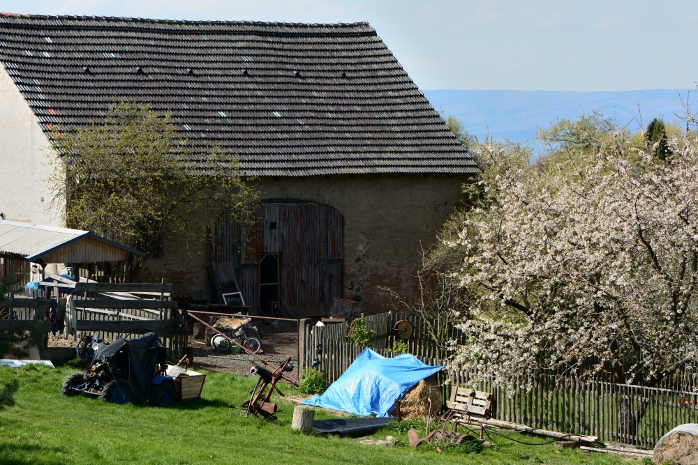 DSC_0576_00001n.jpg
