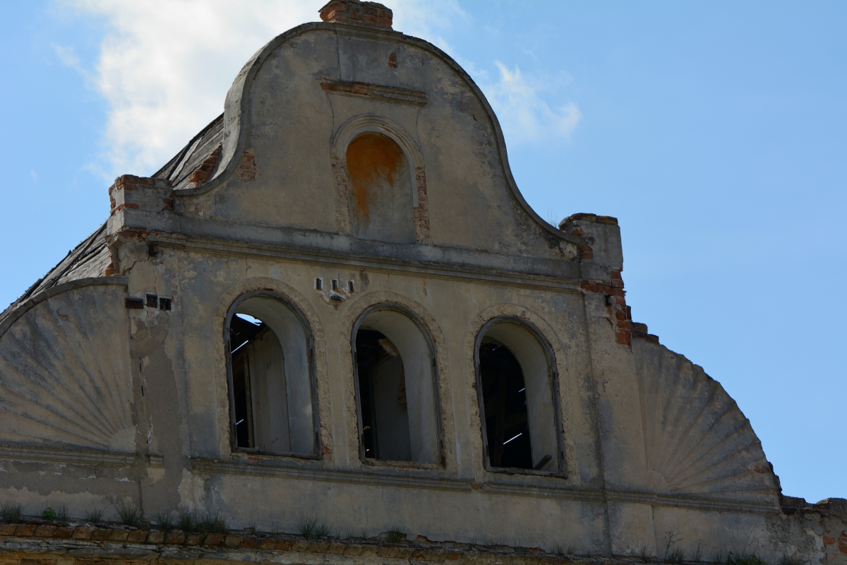 DSC_0578_00001n.jpg