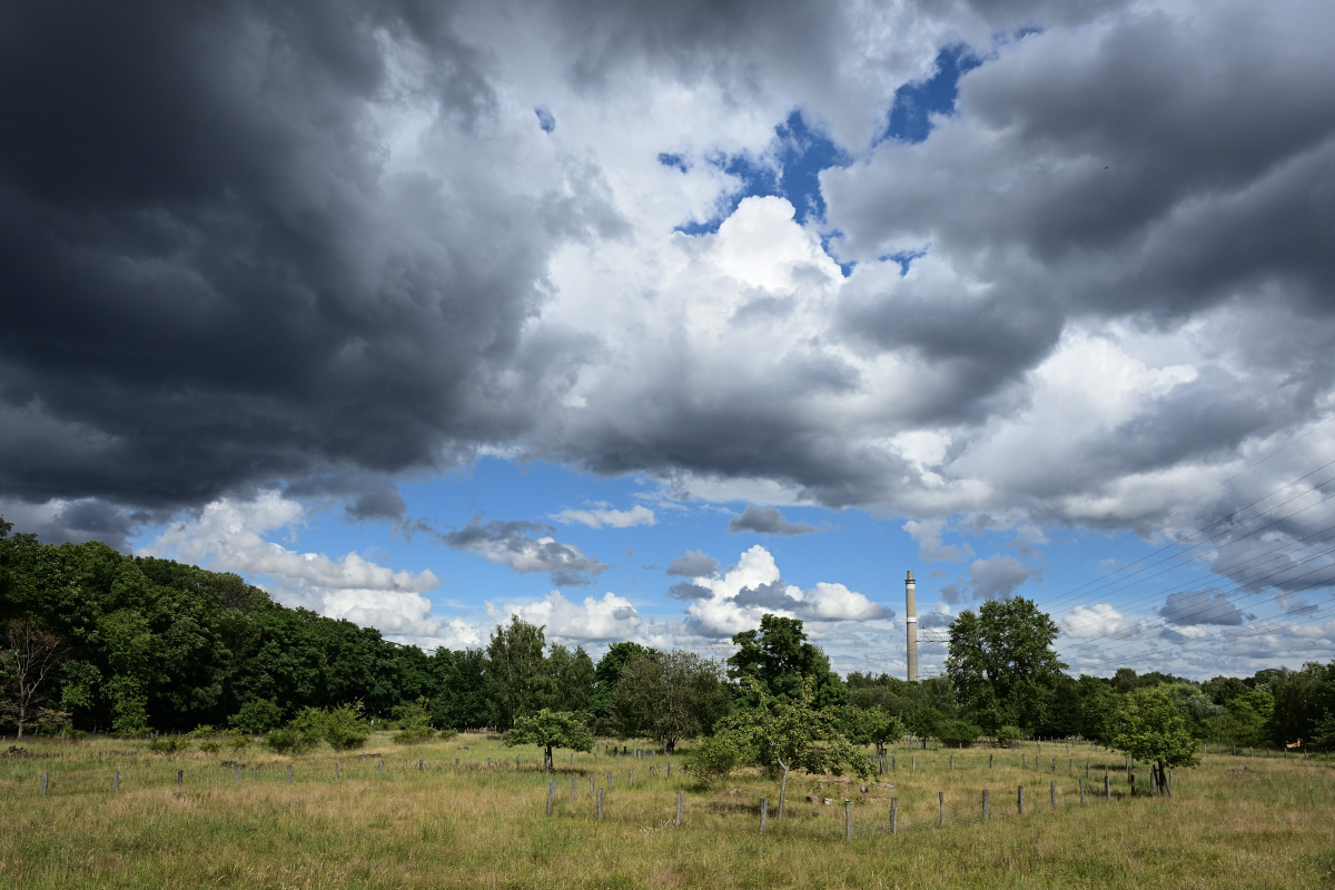 DSC_0581.JPG