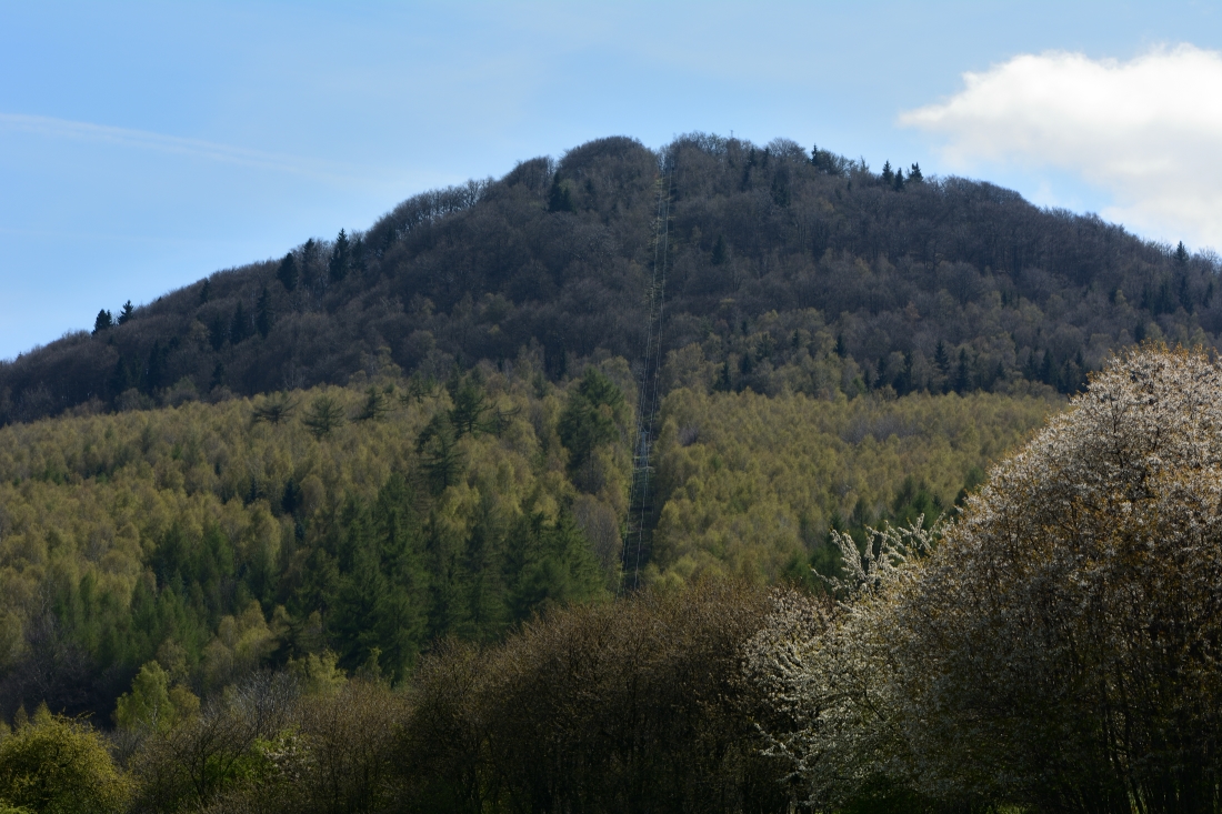 DSC_0582_00001n.jpg
