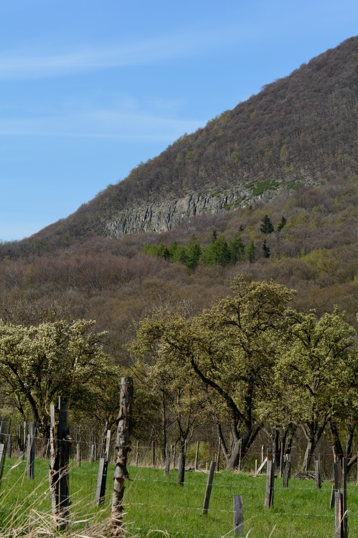 DSC_0595_00001n.jpg