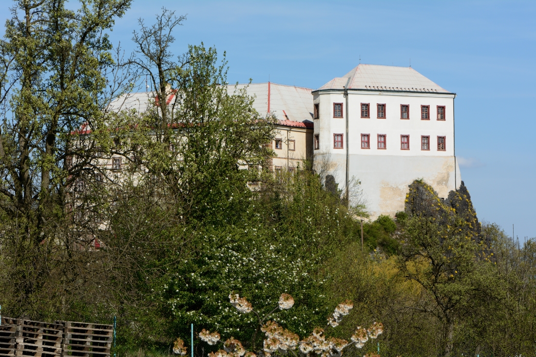 DSC_0597_00001n.jpg