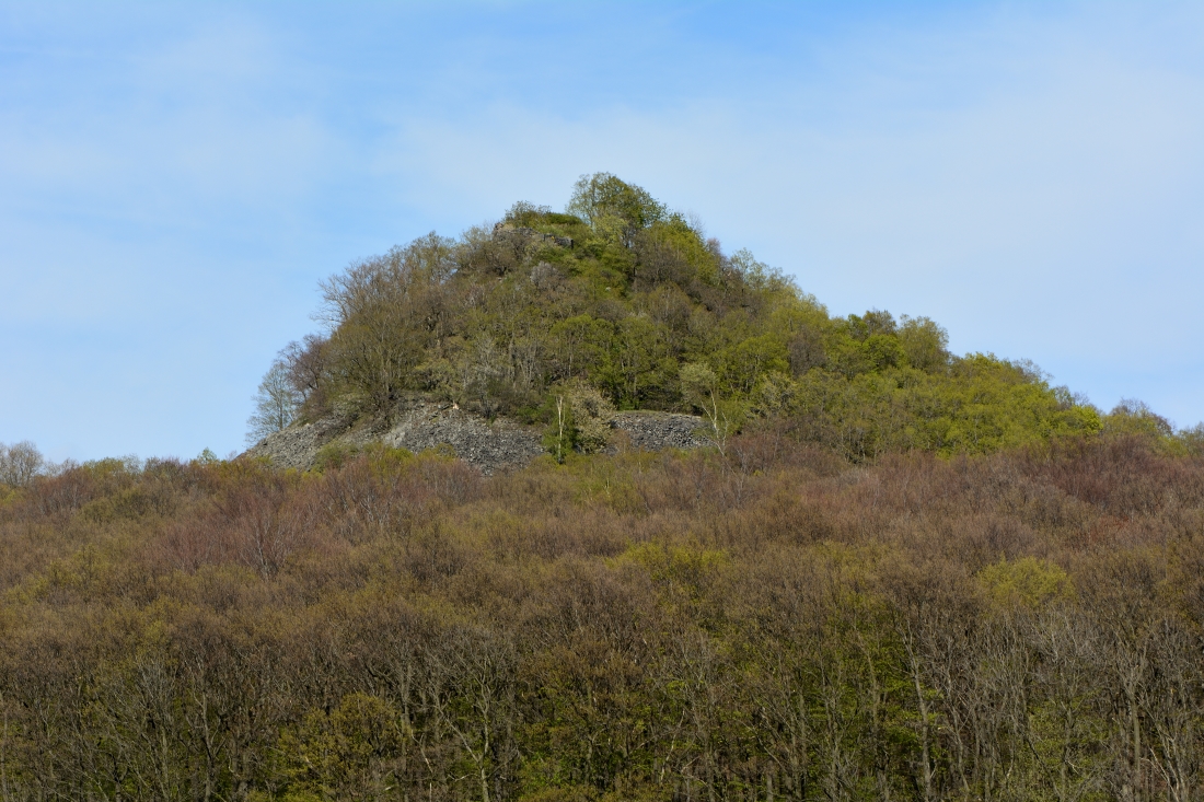 DSC_0605_00001n.jpg