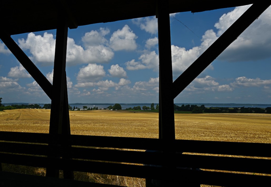 DSC_0643.jpg