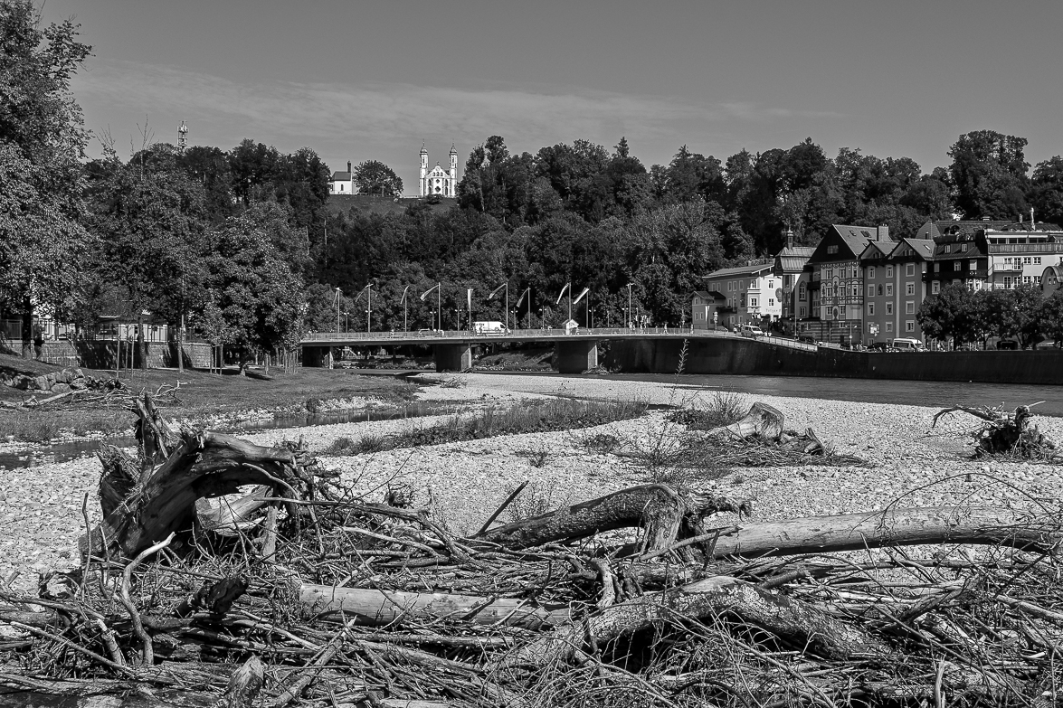 DSC_0650.jpg