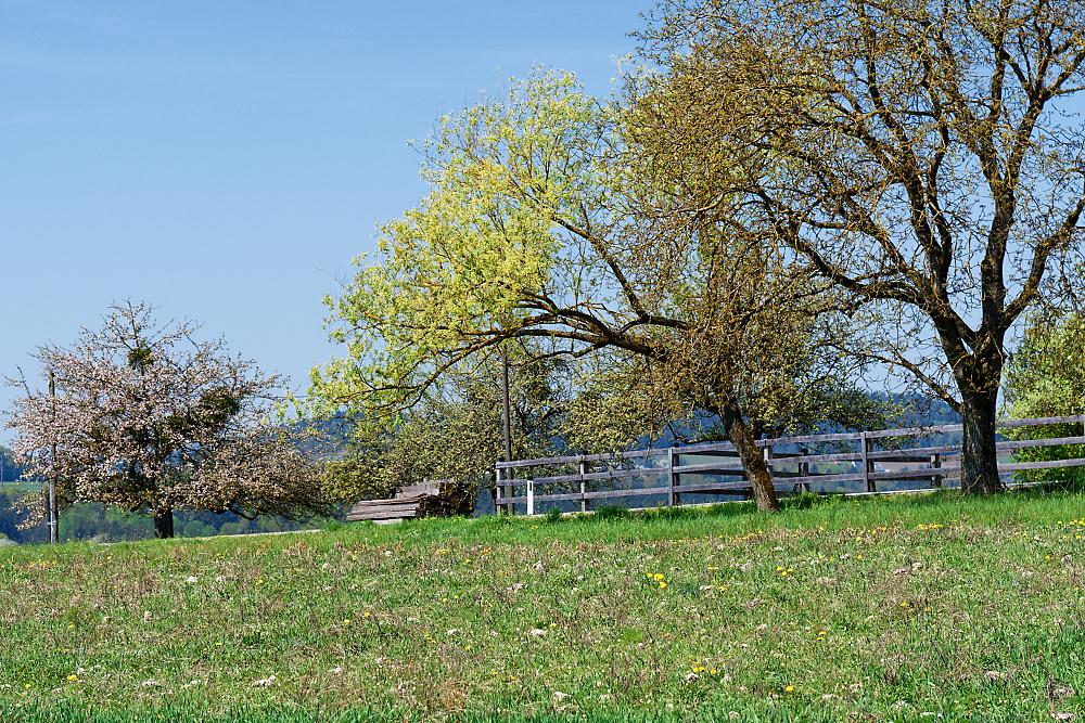 DSC_0672_DxO.jpg