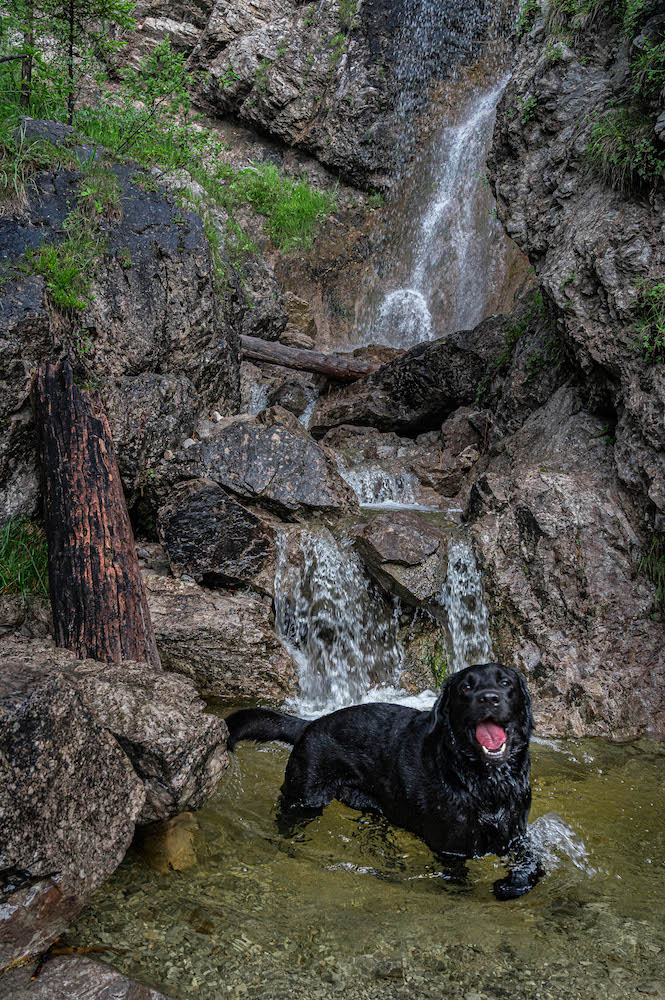 DSC_0674.jpg