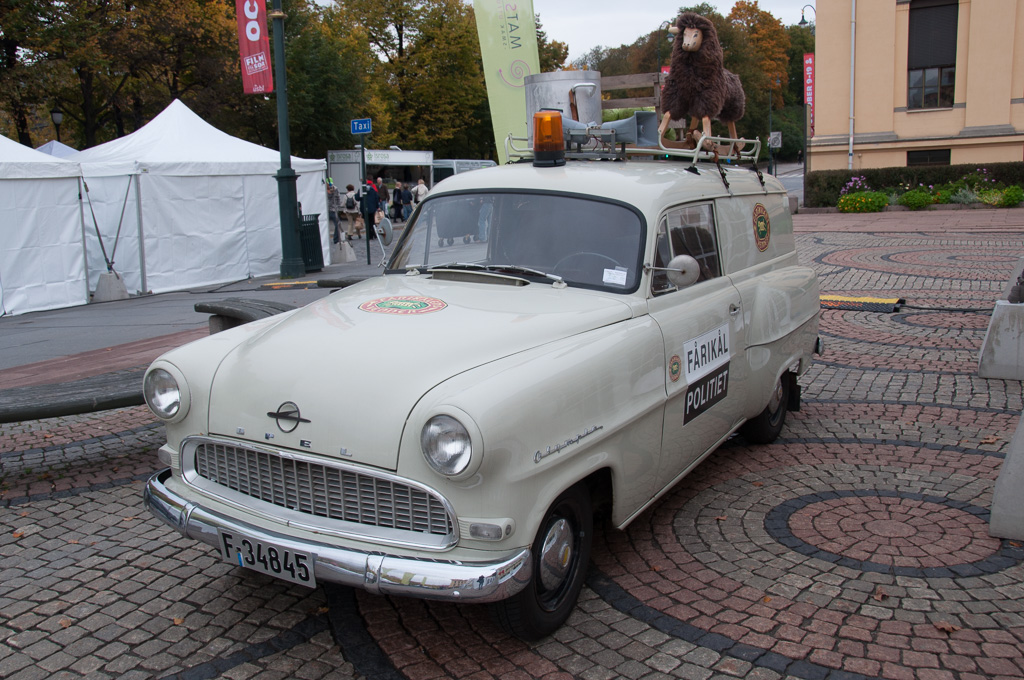 DSC_0703-1.JPG