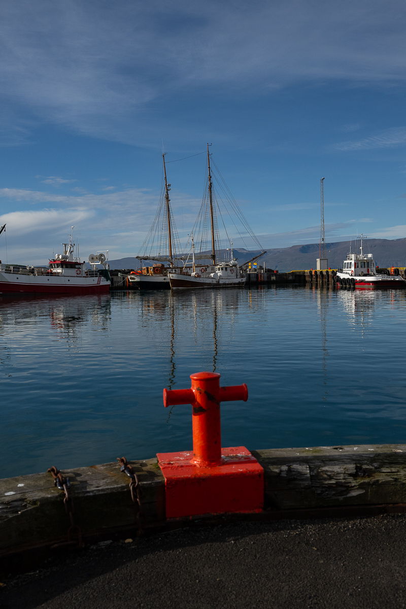 DSC_0705.jpg