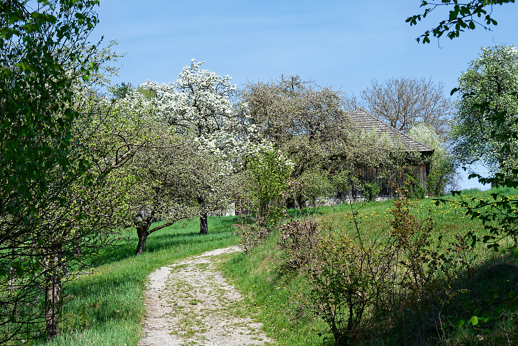 DSC_0716_DxO.jpg