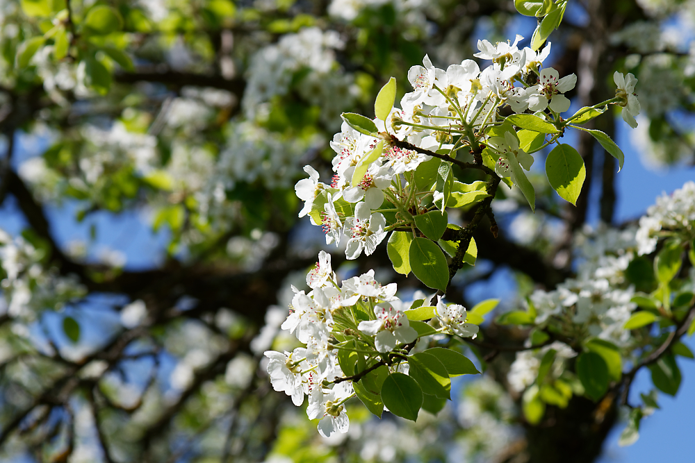 DSC_0731_DxO.jpg