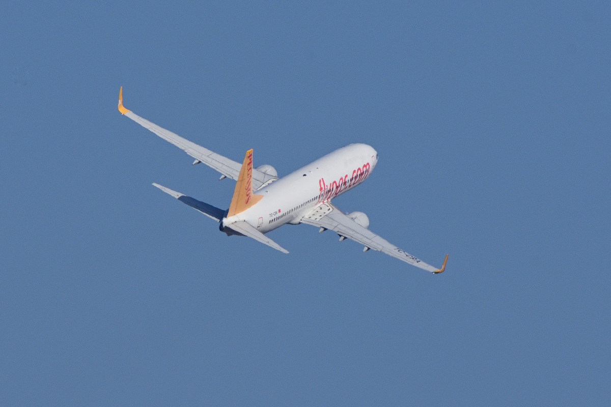 DSC_0734.JPG