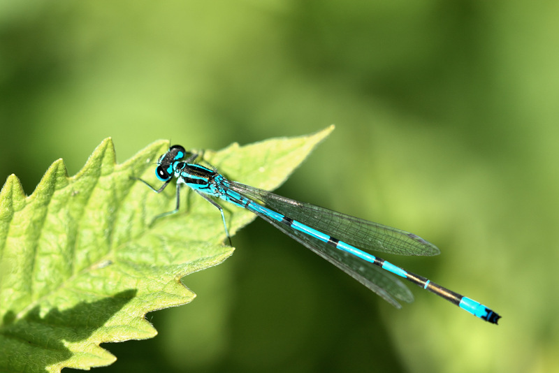 DSC_0745.jpg
