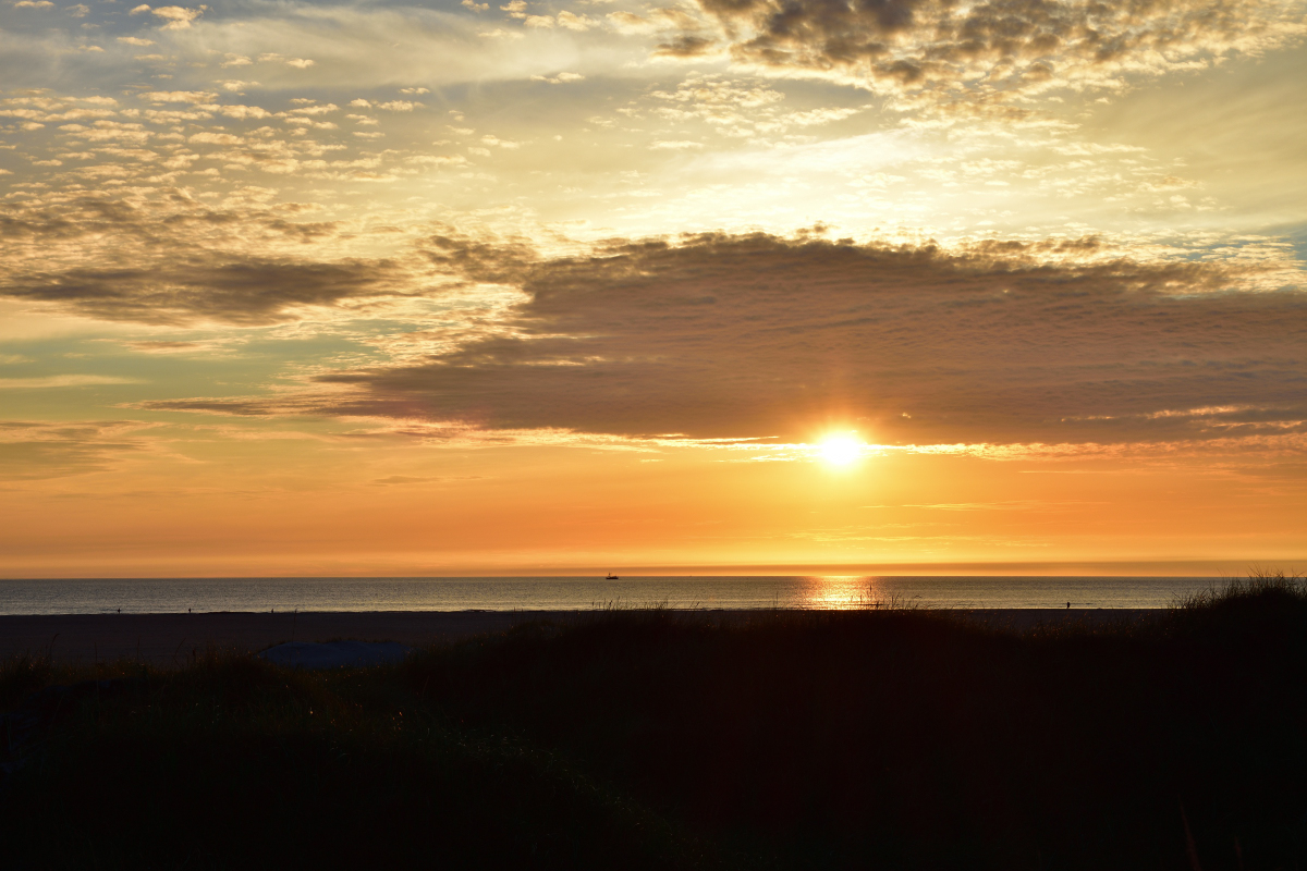 DSC_0759.jpg