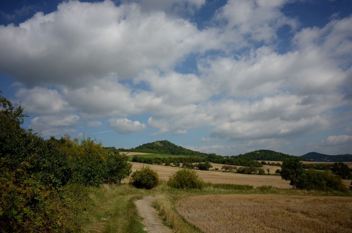 DSC_0769n.JPG