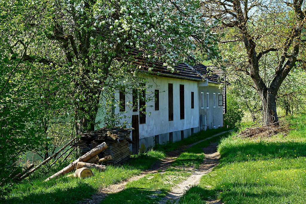 DSC_0771_DxO_DxO.jpg