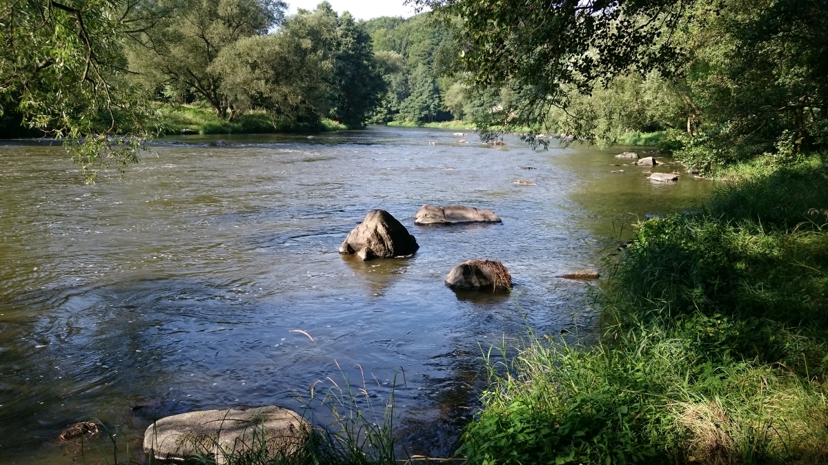 DSC_0772n.jpg