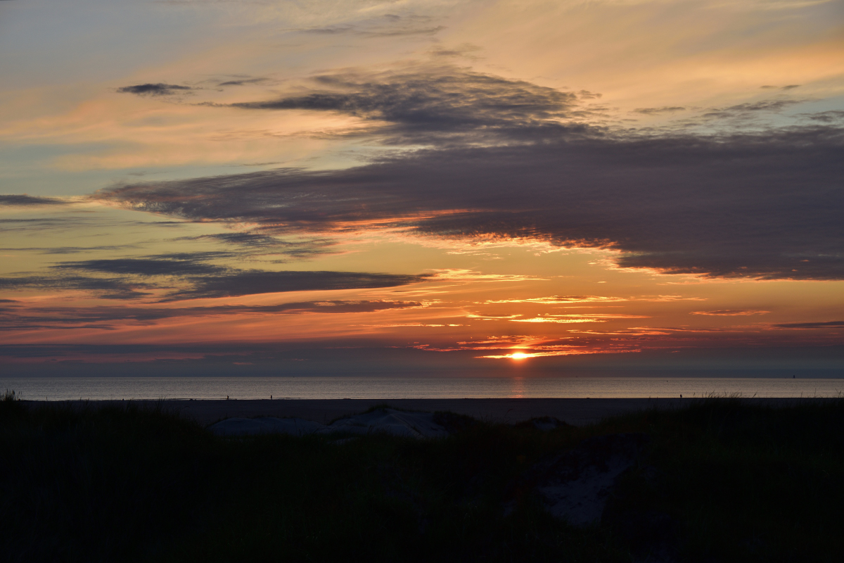 DSC_0779.jpg