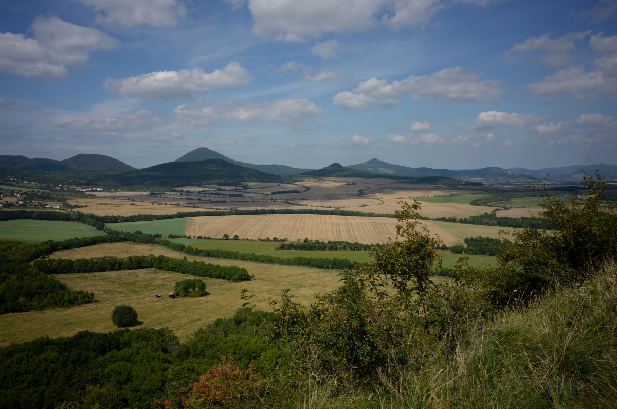 DSC_0781n.JPG