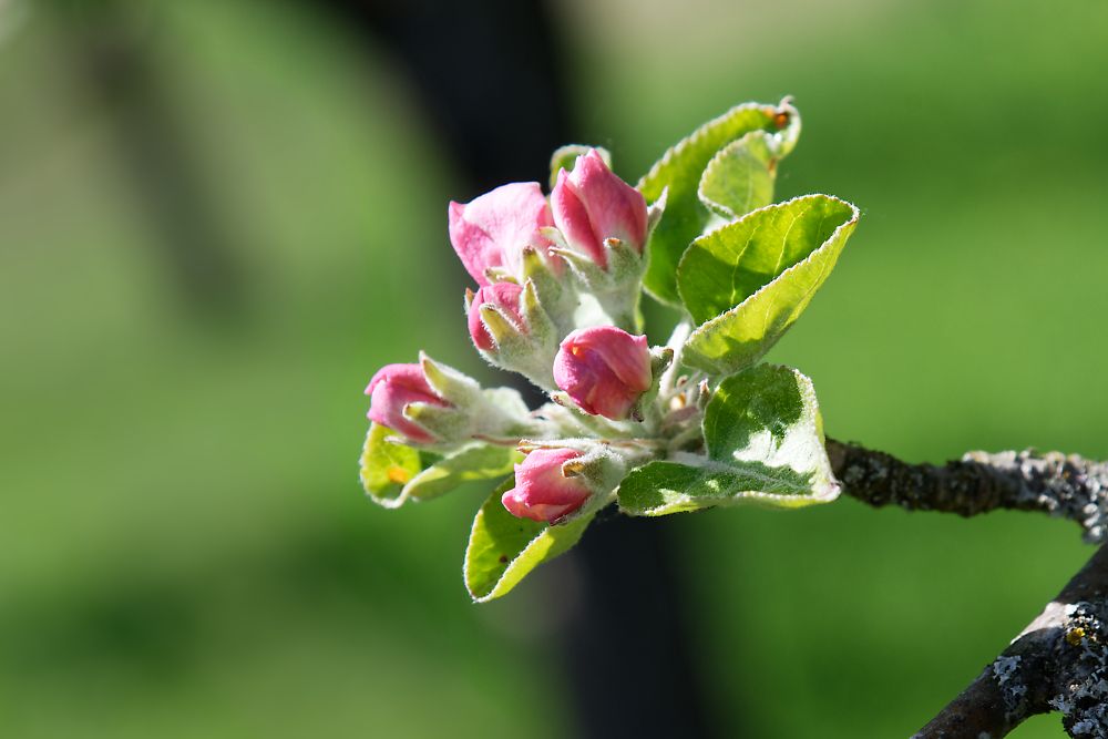 DSC_0787_DxO.jpg