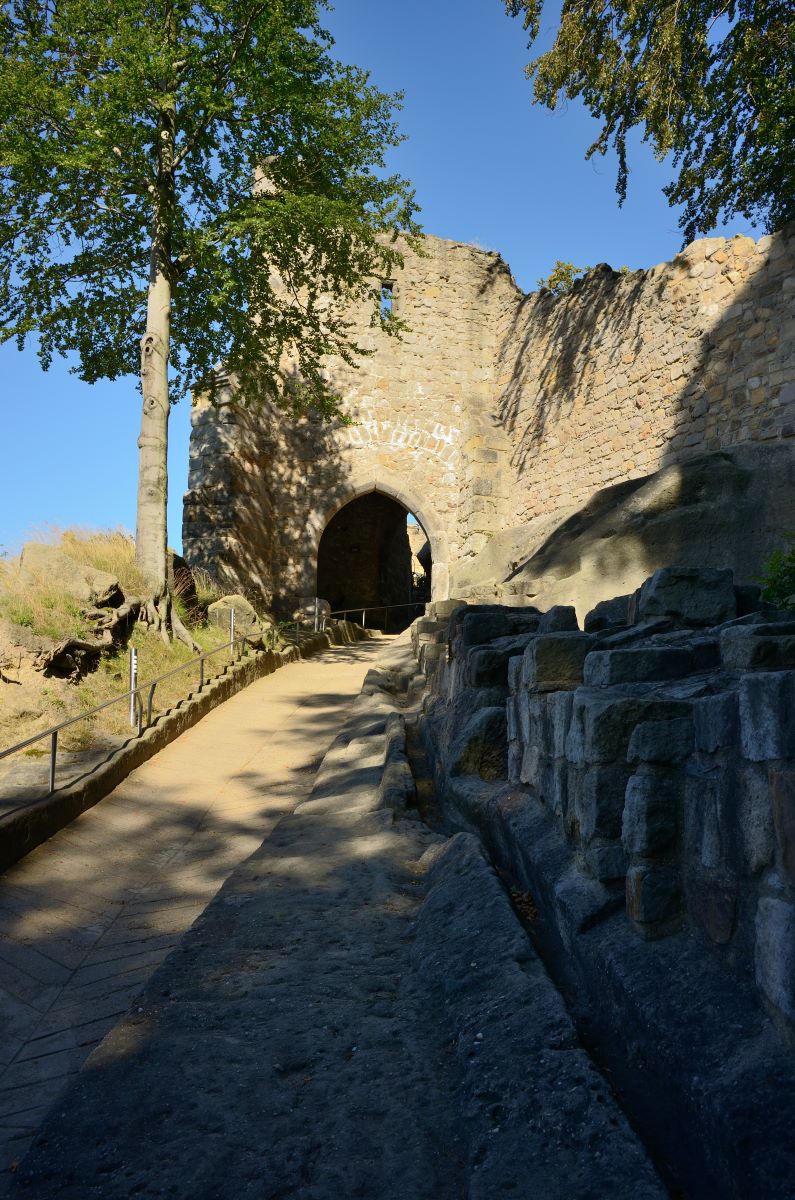 DSC_0822_00001n.jpg