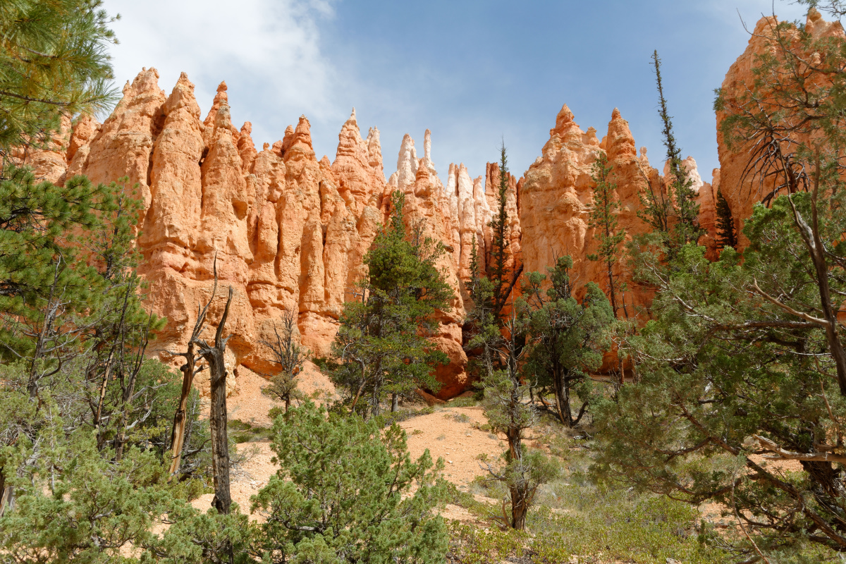 DSC_0858_DxO_01.jpg