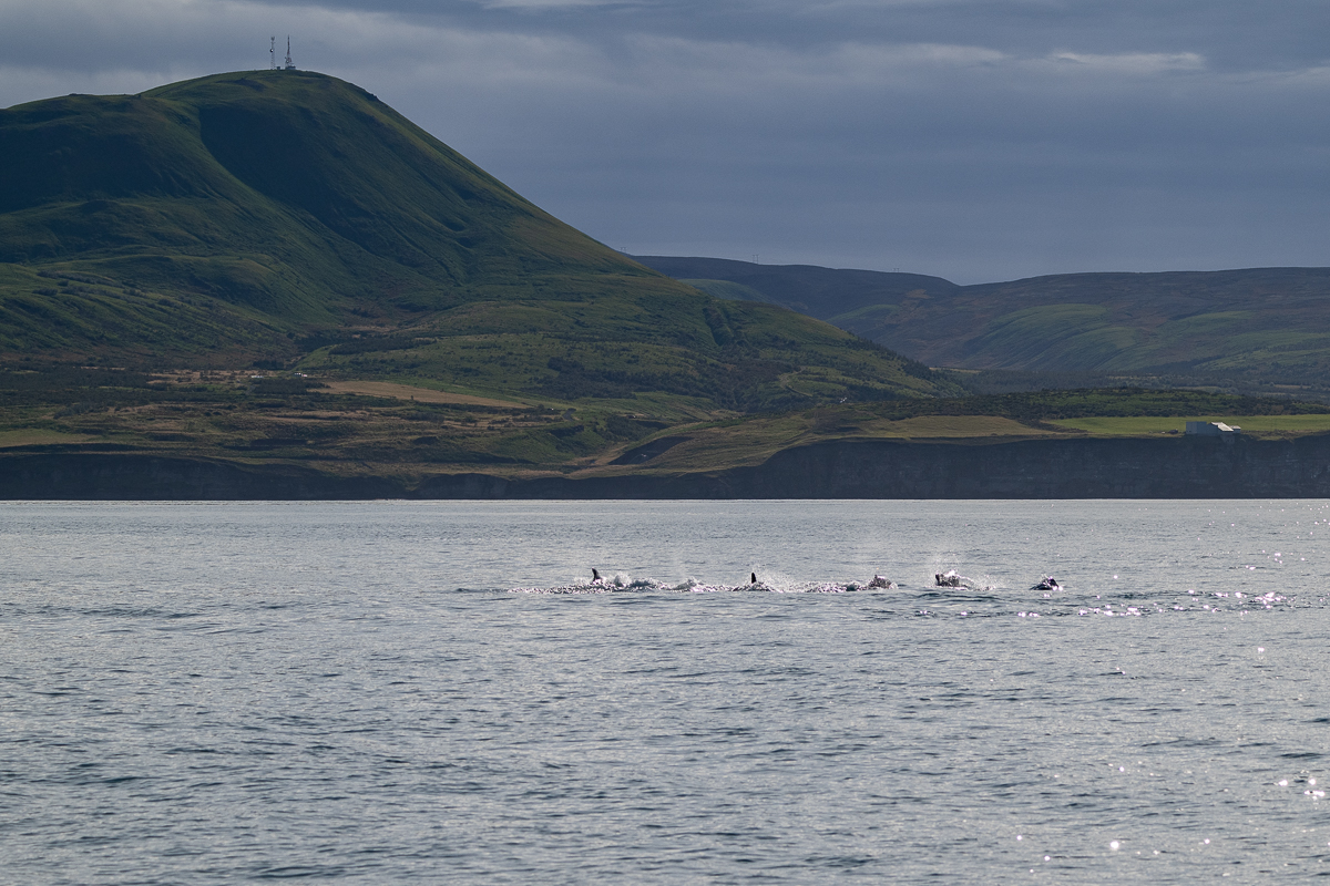 DSC_0860.jpg