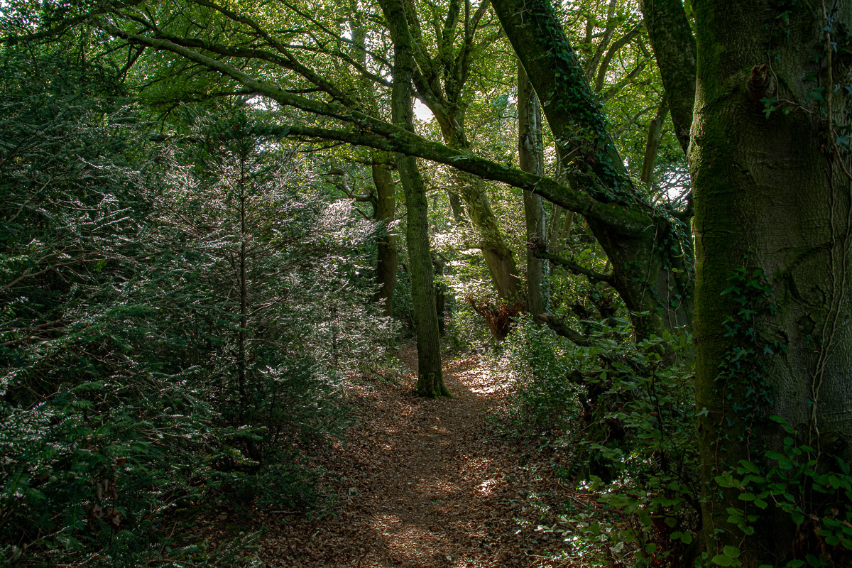 DSC_0861.jpg