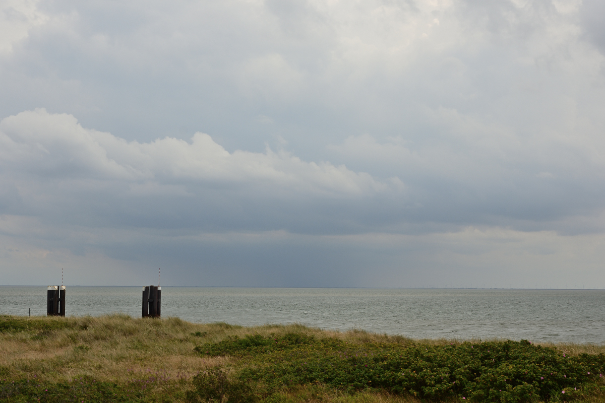 DSC_0865.JPG