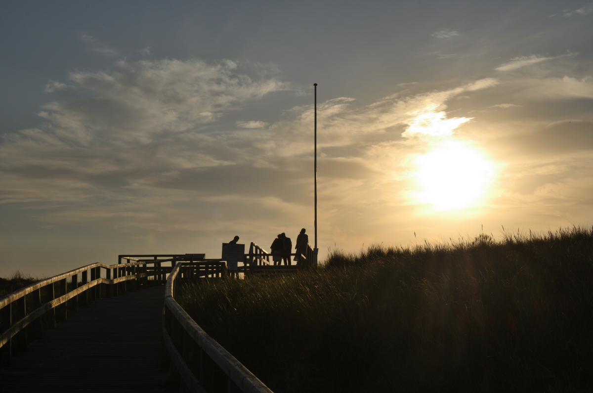 DSC_0871.JPG