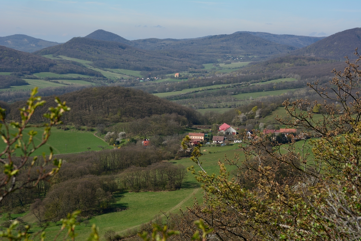 DSC_0872_00001n.jpg